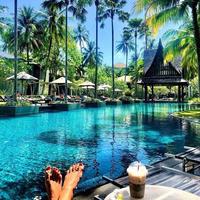 Отзыв от Елена - Visa DTV